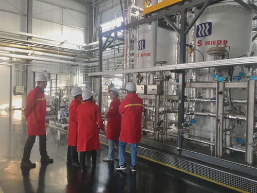 国内首套百万方级LNG-BOG提取高纯氦气装置通过科技成果鉴定，万方宏盛科技引领行业突破